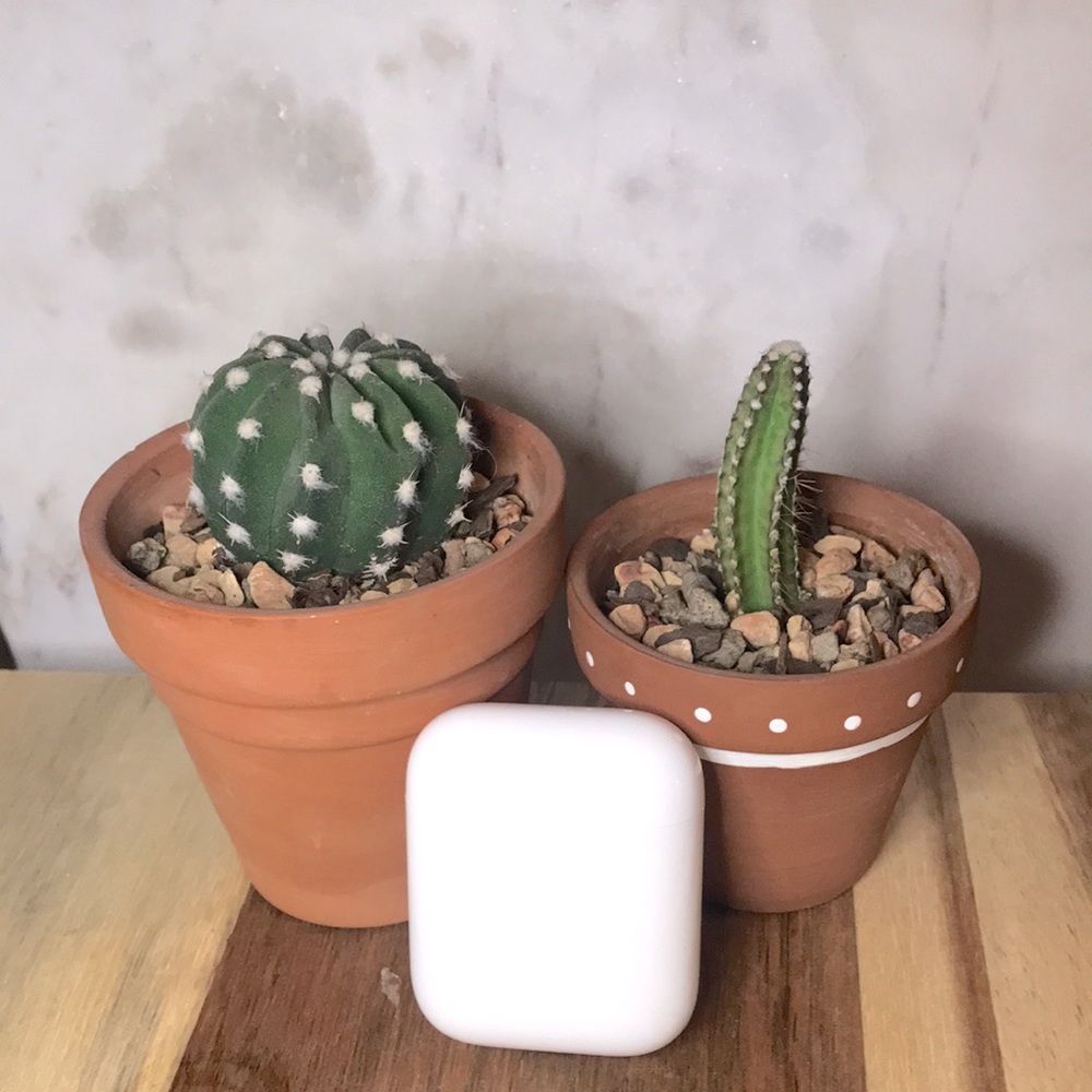 AirPods Generation 1 Charging Case